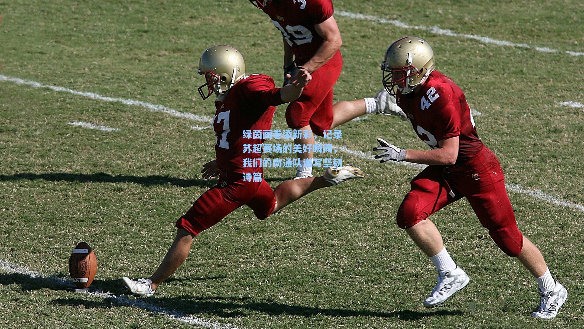 绿茵画卷添新彩，记录苏超赛场的美好瞬间，我们的南通队谱写坚韧诗篇