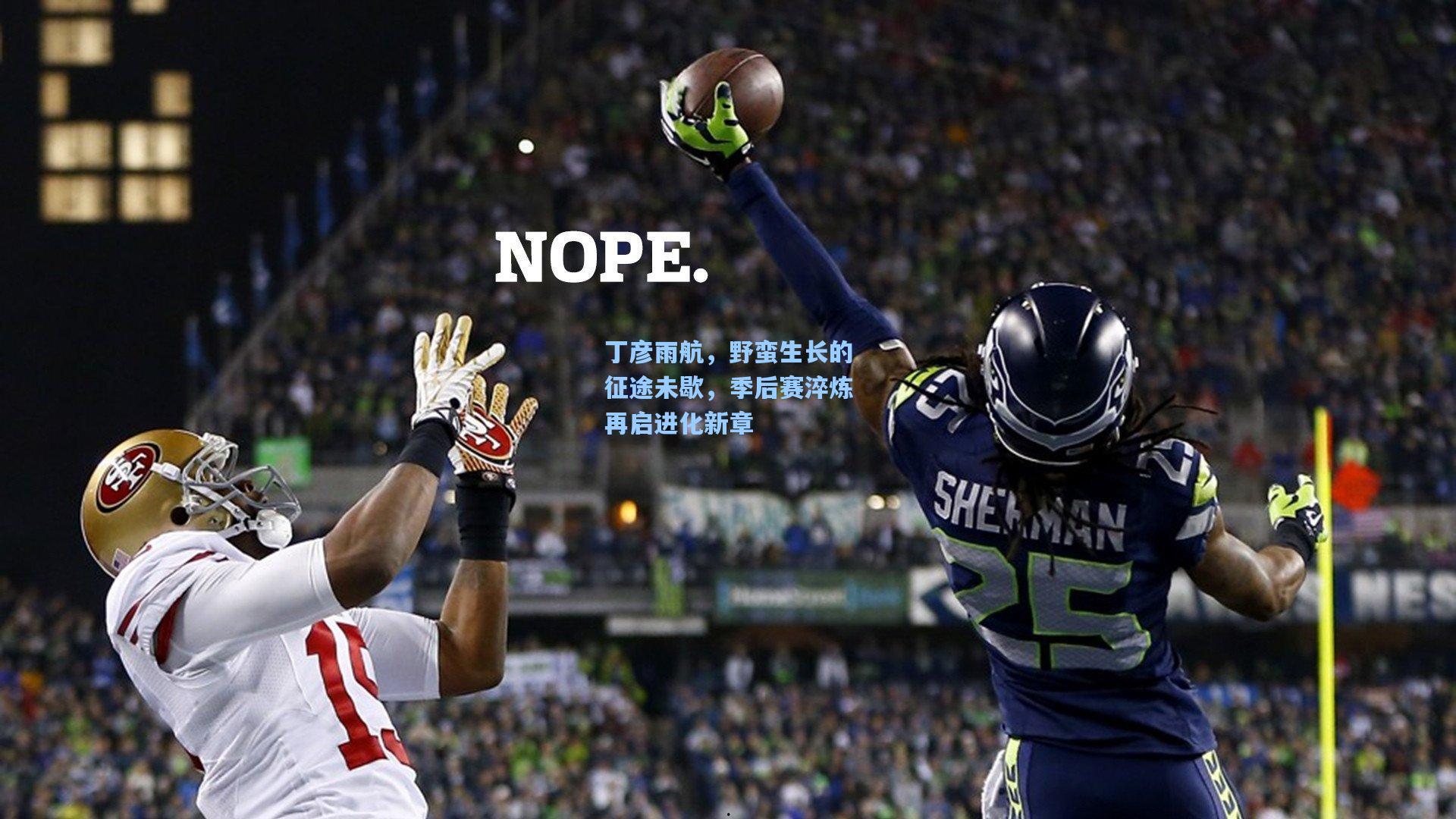 丁彦雨航，野蛮生长的征途未歇，季后赛淬炼再启进化新章