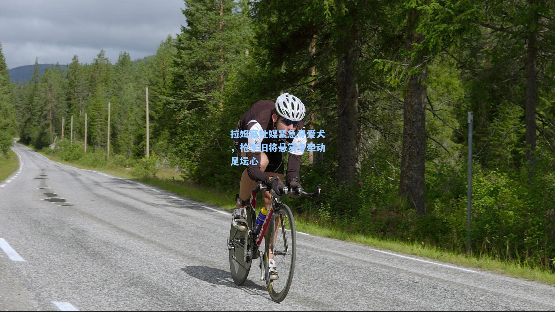 拉姆塞社媒紧急寻爱犬,枪手旧将悬赏令牵动足坛心